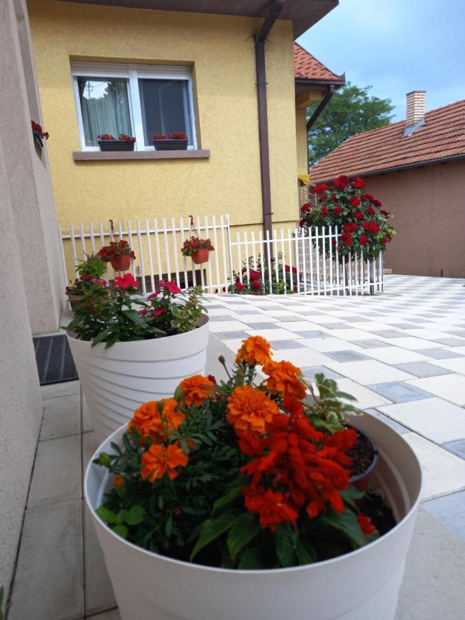 Leda Apartmani Смедереве Екстер'єр фото