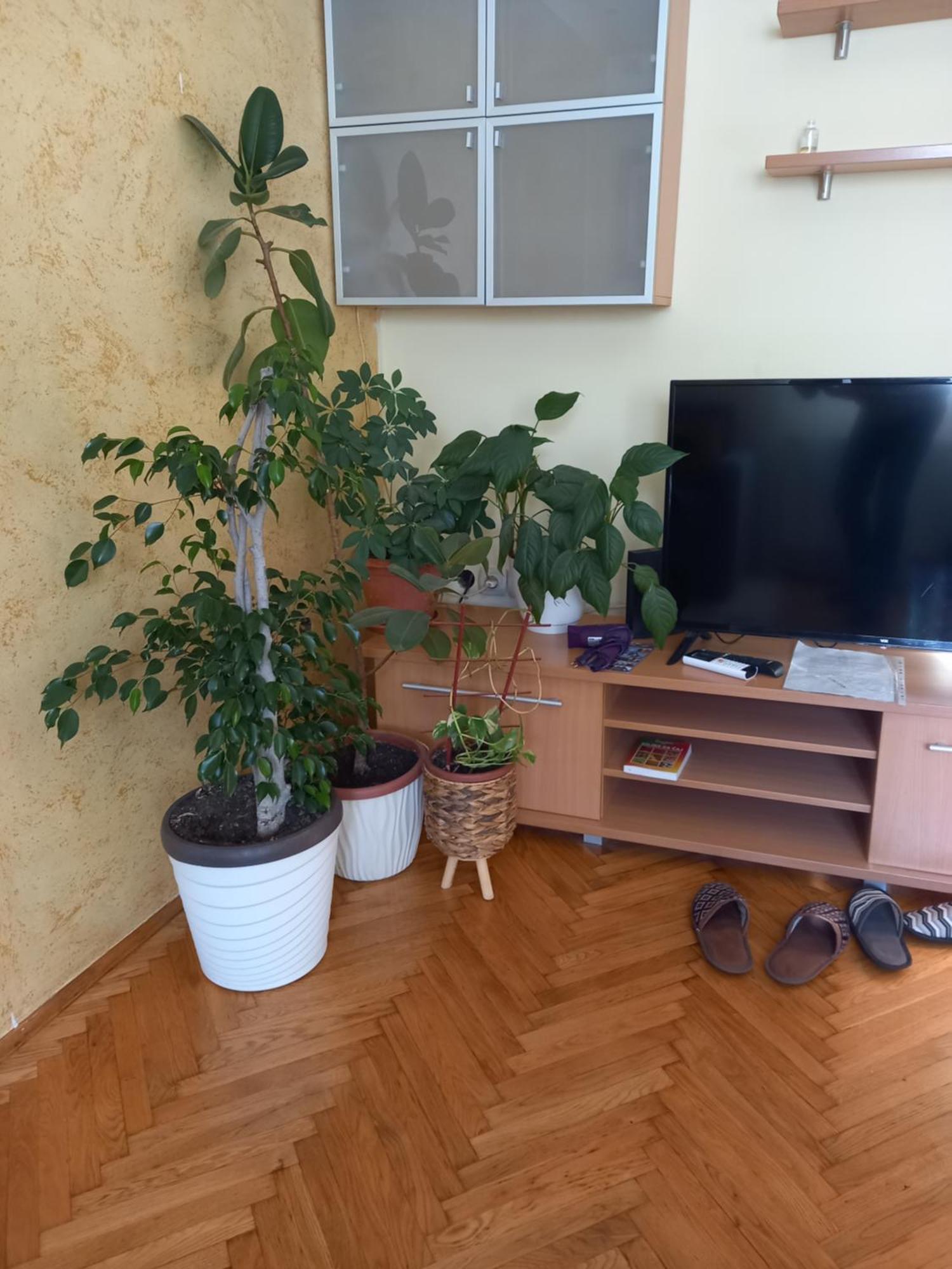 Leda Apartmani Смедереве Номер фото